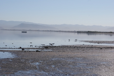Incremento del nivel del mar