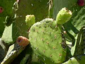 Principales factores del rezago Mexicano