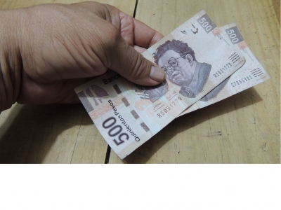 Problem&aacute;tica del desarrollo en M&eacute;xico
