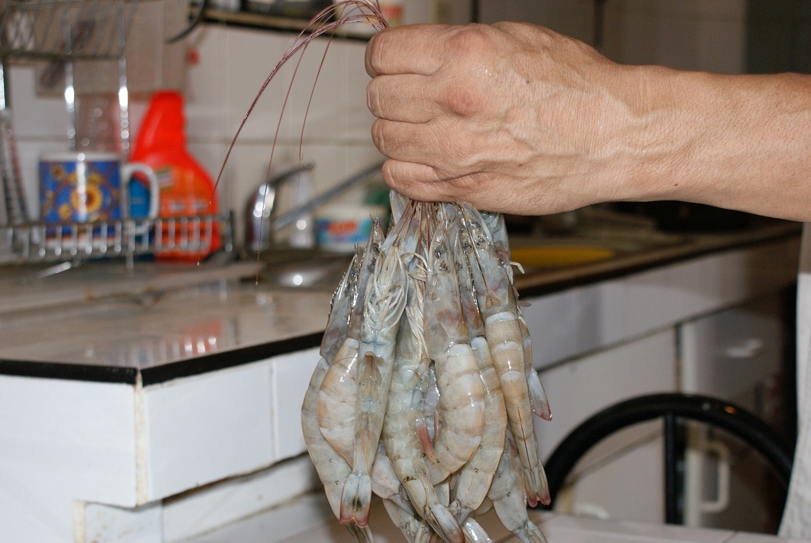 IControl de enfermedades virales del camarón