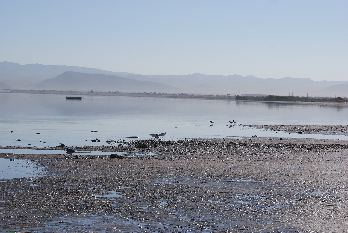 IEfecto del cambio climático en el incremento del nivel medio del mar