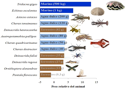 IVulnerabilidad a la extinción de animales invertebrados