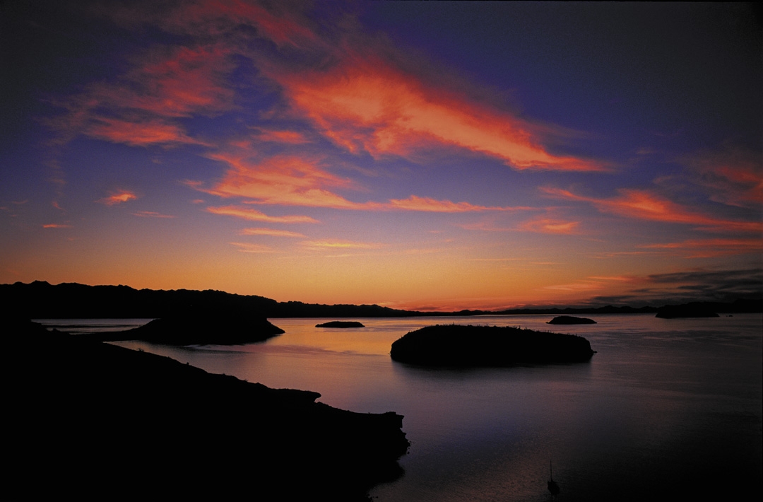 ISaqueo o conservación: dilema entre medio ambiente y desarrollo?