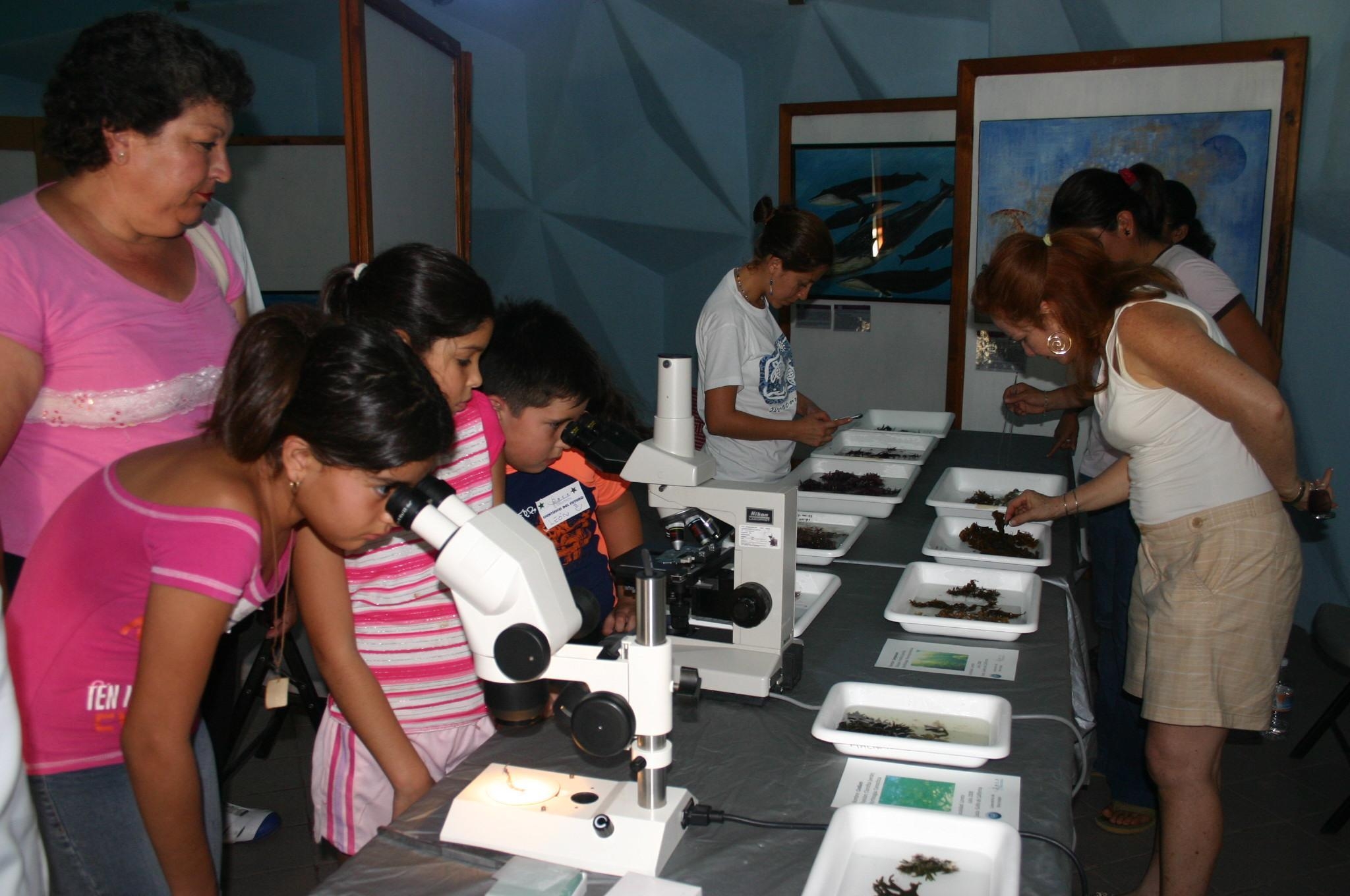IPrograma de Acercamiento de la Ciencia a la Educación